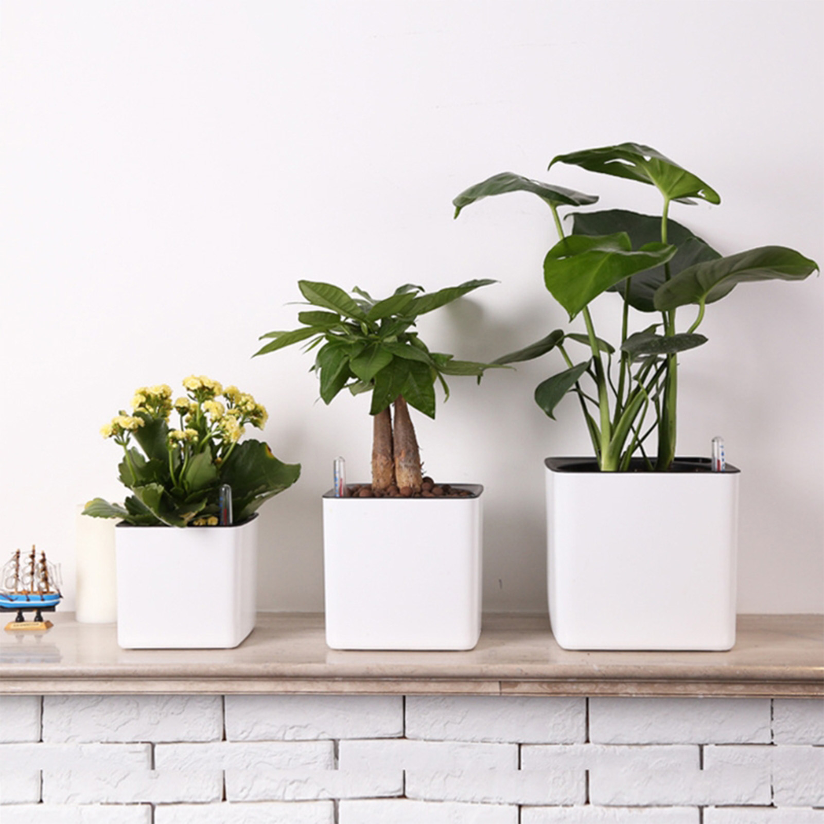Pot auto-arrosant avec indicat - Self Watering Insert avis et prix