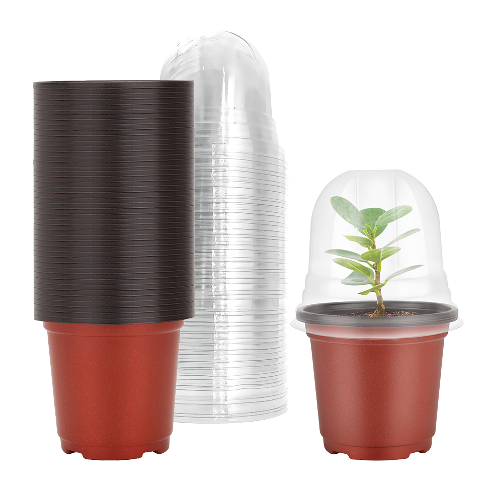 Pots de pépinière pour plantes - Plastic Dome Clear avis et prix